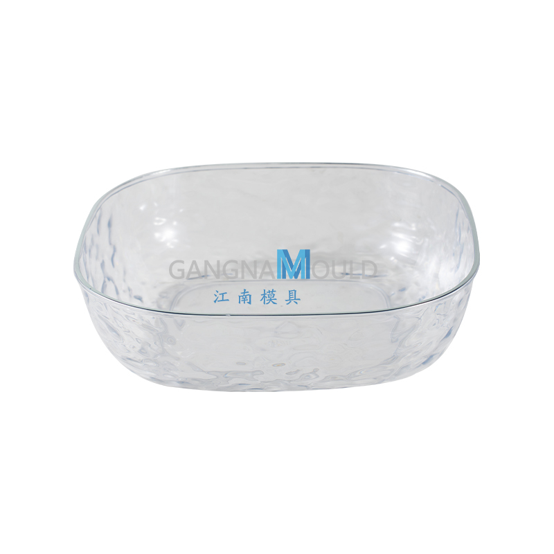 JN-547 Moule d'injection de plateau de fruits en texturation transparente