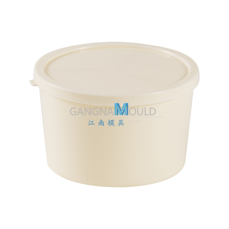 Moule de boîte de rangement en plastique pour cuisine JN - 517